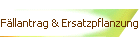 Fllantrag & Ersatzpflanzung